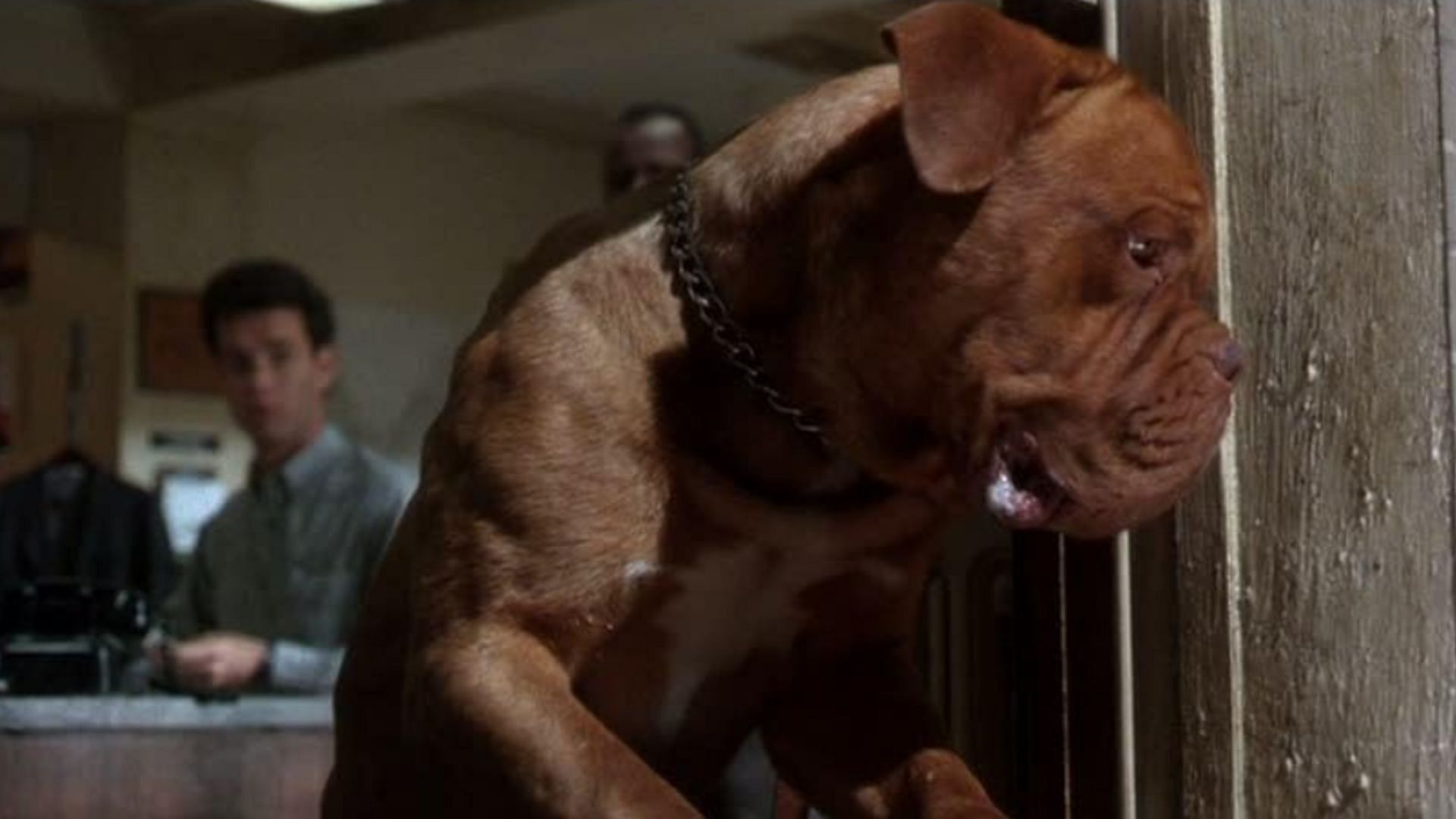 Dog lovers shouldn't miss out on this buddy cop movie (Image via Warner Bros Pictures)